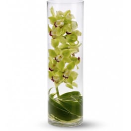 Tall glass cylinder with green cymbidium orchids and wrapped green leaves submerged in water