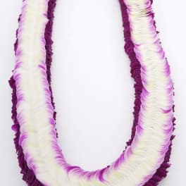 Purple and white flower lei on a white background