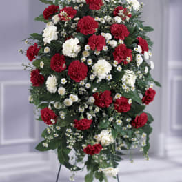 Standing spray of red and white carnations with small white daisies