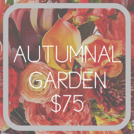 AUTUMN GARDEN Designers Choice