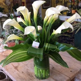 White calla lilies arranged in a glass vase with broad green leaves