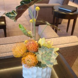 Succulent arrangement with orange pincushion blooms in a white vase
