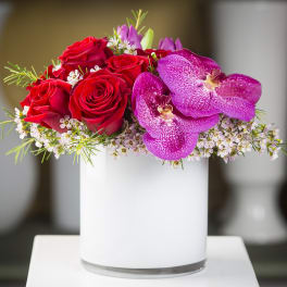 Red roses and purple orchids in a white vase