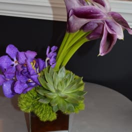 Purple calla lilies, orchids, and a succulent in a square vase
