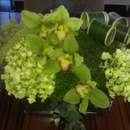 Green orchid and hydrangea centerpiece in a low black container