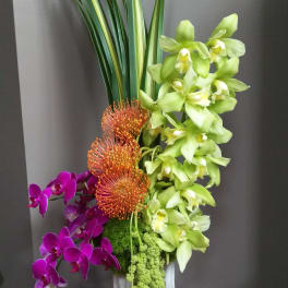 Tall orchid arrangement with orange pincushion blooms in a white vase
