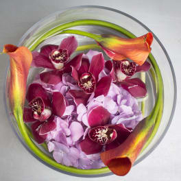Round bowl arrangement with purple orchids, hydrangea, and orange calla lilies