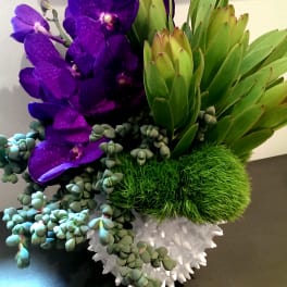 Purple orchids with green succulents in a white spiky vase