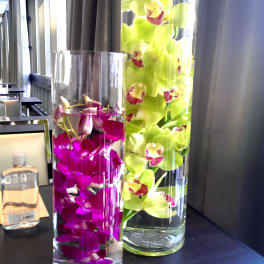 Submerged Orchids