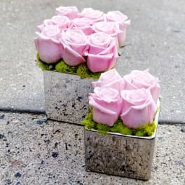 Two small square vases of pink roses on a stone surface
