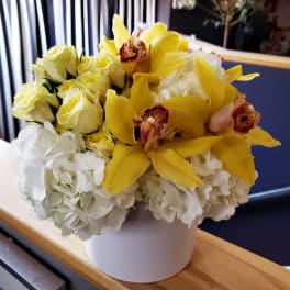 Yellow orchids and white hydrangeas arranged in a white vase