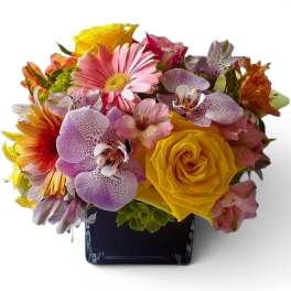 Pastel Roses In Black Designer's Choice
