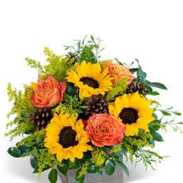 Sunflower and orange rose arrangement in a gray square container