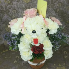 Teddy bear made of white flowers with pink roses and a red rose in a pot