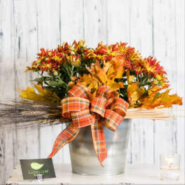 Fall bouquet of orange and yellow flowers in a metal bucket with plaid ribbon