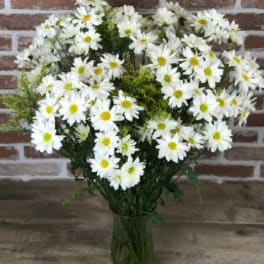 Tall bouquet of white daisies in a clear glass vase