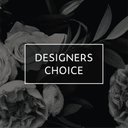 47 | Designer's Choice - grande