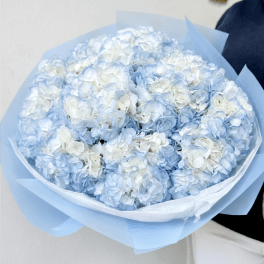Bouquet of pale blue and white hydrangeas wrapped in light blue paper