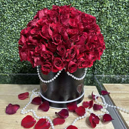 Elegant red
