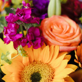 Colorful bouquet with a peach rose, orange gerbera daisy, and purple blooms