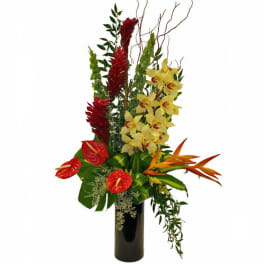 Tall tropical arrangement with yellow orchids, red anthuriums, and orange bird of paradise in a black vase