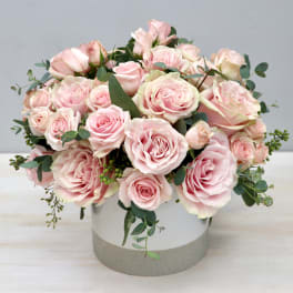 Low round arrangement of pale pink roses in a white cylindrical container