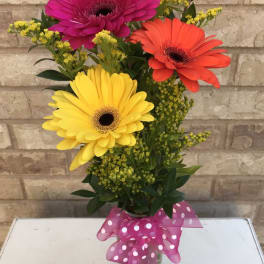 Bouquet of pink, orange, and yellow gerbera daisies in a glass vase with a polka-dot ribbon