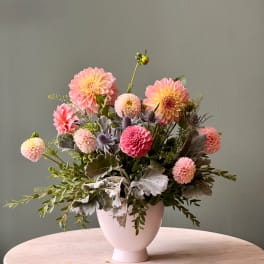 Pink and peach dahlia arrangement in a white vase