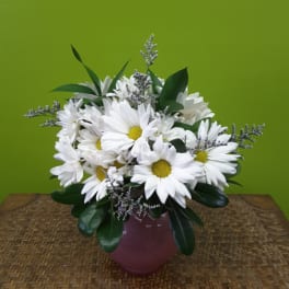 White daisies arranged in a vase with purple filler flowers