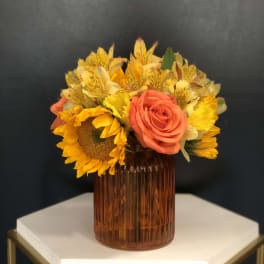 Everything Orange