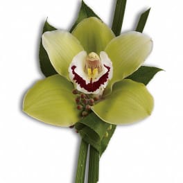 Green Orchid Boutonniere