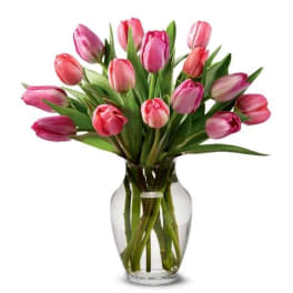 Pink tulips arranged in a clear glass vase