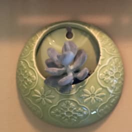 Small succulent in a green decorative wall planter