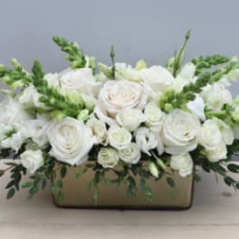 Low rectangular arrangement of white roses and snapdragons in a gold container