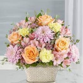 oving Remembrance™ Multicolor Pastel