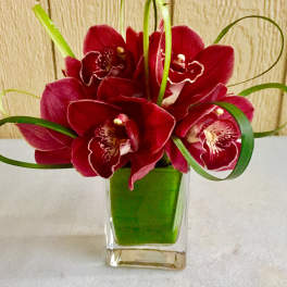 Red orchids arranged in a clear square vase with looping grass accents
