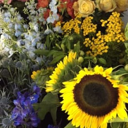 Assorted cut flowers including bright sunflowers, roses, and delphinium stems grouped together