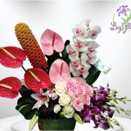 Tropical floral arrangement with red anthuriums, orchids, roses, and a pinecone ginger bloom