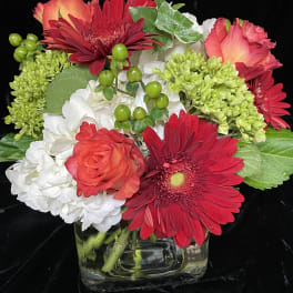 Compact arrangement of red gerbera daisies, roses, and white hydrangeas in a clear glass cube vase