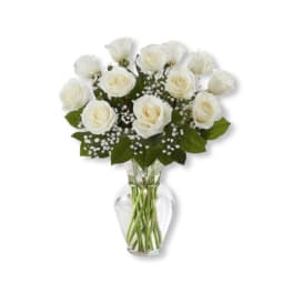White Rose Elegance