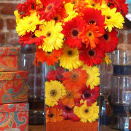 Bright gerbera daisy arrangement in a clear rectangular vase