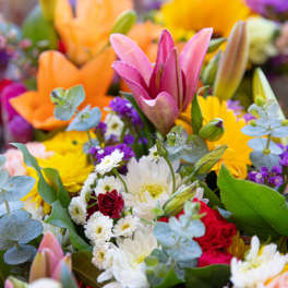 Colorful mixed bouquet with lilies, daisies, and purple filler flowers