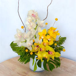 White and yellow orchid arrangement in a white vase