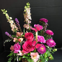 Blooms and Butterflies