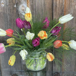 Mixed tulips arranged in a clear glass vase
