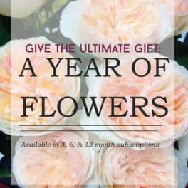 Graphic with text over a background of peach and cream garden roses promoting a year of flowers gift
