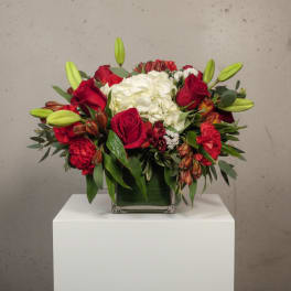 Red roses and white hydrangea in a square glass vase