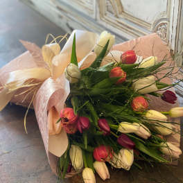 Wrap Me Up Tulips