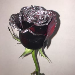 Single dark rose with silver glitter on the petals