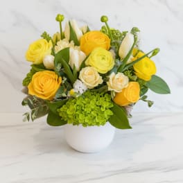 Compact yellow and white rose, tulip, ranunculus, and green hydrangea arrangement in a white round vase